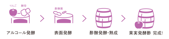 アルコール発酵→表面発酵→酢酸発酵・熟成→果実発酵酢 完成！